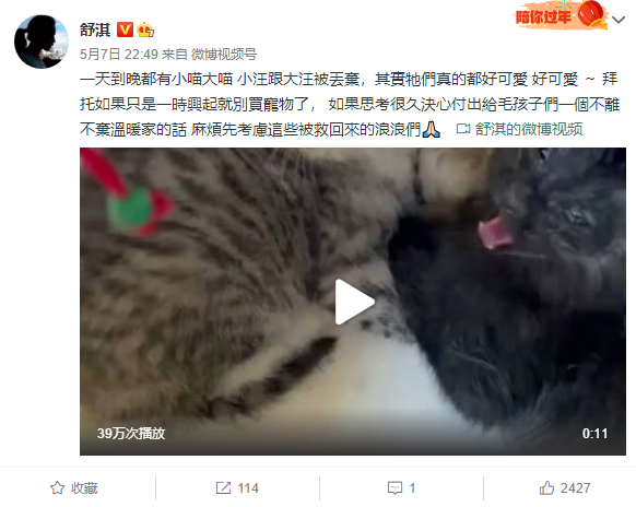 舒淇晒小动物的视频 倡议领养流浪小猫